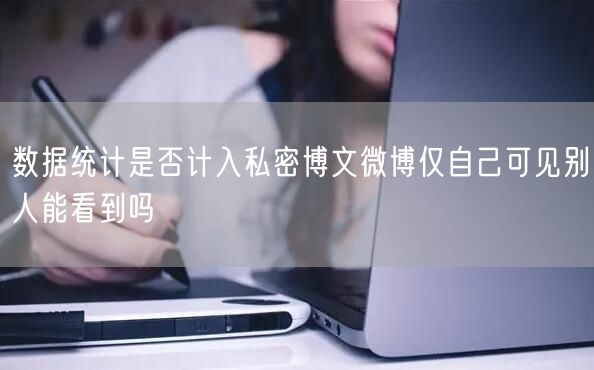 数据统计是否计入私密博文微博仅自己可见别人能看到吗