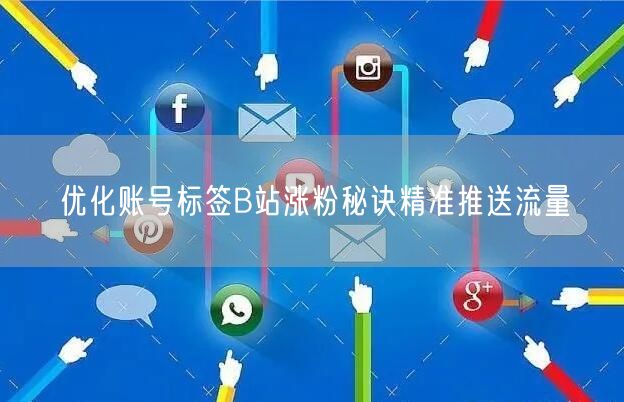 优化账号标签B站涨粉秘诀精准推送流量