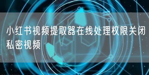 小红书视频提取器在线处理权限关闭私密视频