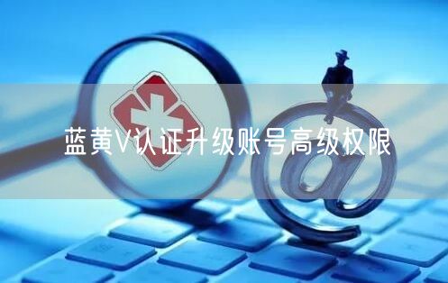 蓝黄V认证升级账号高级权限