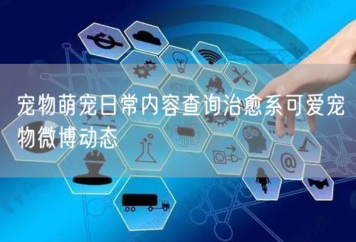 宠物萌宠日常内容查询治愈系可爱宠物微博动态