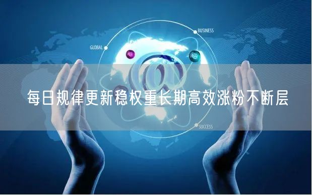 每日规律更新稳权重长期高效涨粉不断层